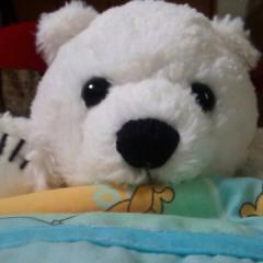 シロクマのトーク