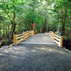 中森有紀のトーク