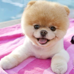 みーちゃんのトーク