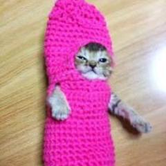 わさびちゃんのトーク