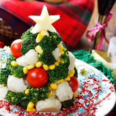 ソナーポケットのトーク