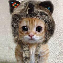 ⋆□♡ゆみこ▽○✦