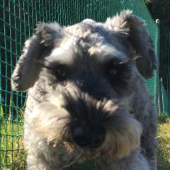 なんでも話しましょう