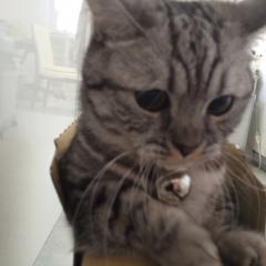 あやりのトーク