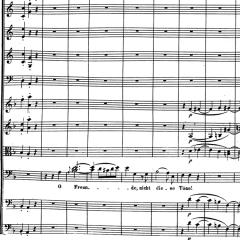 都内でバイオリンやってる人集まれー