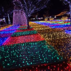 しょうた908のトーク