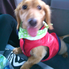 暇な人ヾ(´^ω^)ノ♪