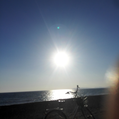 静岡の人話そ！！