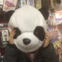 とりあえず雑談しましょー♪