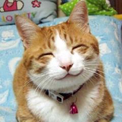 Ryu(*^^*)