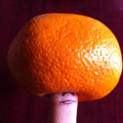 トッキーのトーク