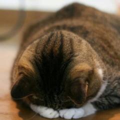 天下のマチュさん