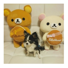 うちゅうじんのトーク