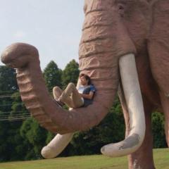 ザキミヤ(うさfam)