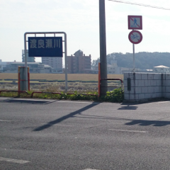 田野美春