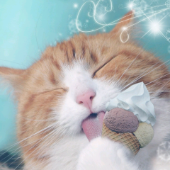 モンモンモン