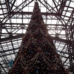 米村秋のトーク