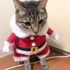 モンスト好ききて〜