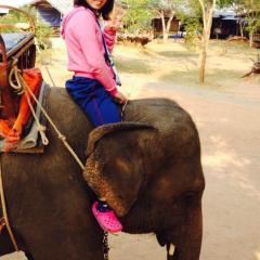 ฮินาโกะ