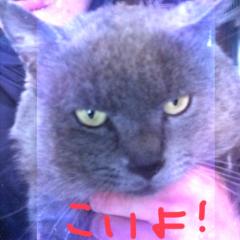 ヒマなら誰でも〜(・ω・)