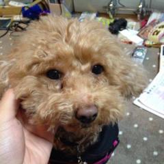 北井佑弥のトーク