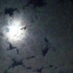 石岡佳樹@さや姉神推し