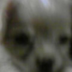 胸がザワザワする