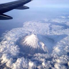 ビックバードちゃん