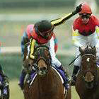 東海の競馬好きぱぴとざきりんの競馬トーク