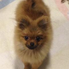 絡んで欲しいワン(^O^)