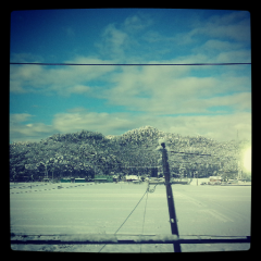 ねれないー：（