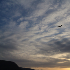 気軽に( ^-^)_旦～ 目指すは！100万ウォッチ ！！