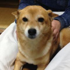 ゆうなのトーク