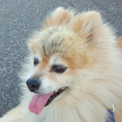 えいじのトーク