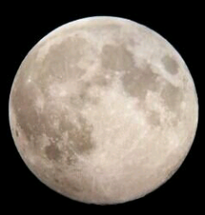 スピカ 星の欠片