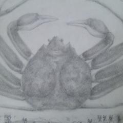 蟹愛好家のスレ