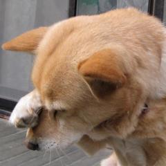 egakuのトーク