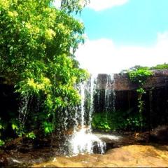 波乗り君のトーク