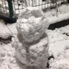 ┃━┏┃ﾓｧｨ像さん