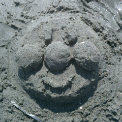 気軽に何でもはなそぉーよ♪