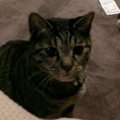 ロ○ン