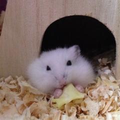 棚卸し