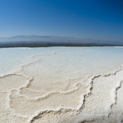 何でもオッケー！質問でもどうぞーー！ 返信絶対します！