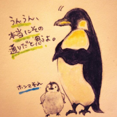 パラダイス()