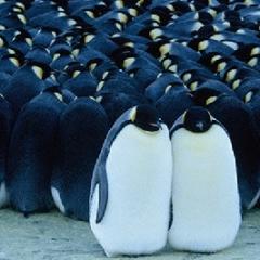 出世ﾊﾞﾄﾗｰたくや