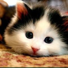 暇人来て！てかやり方教えて！w