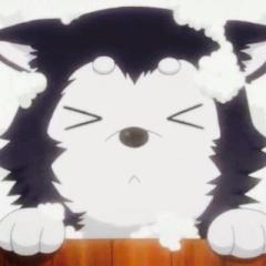 りんご🍎のトーク