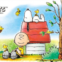 コメントしてくれたら100%返すよー♡ 来てねー♡