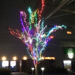 友達なってくれる人、仲良くしてくれる人集まって