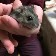 MYKAWA、俺トーク来てね！コメント書いてね！